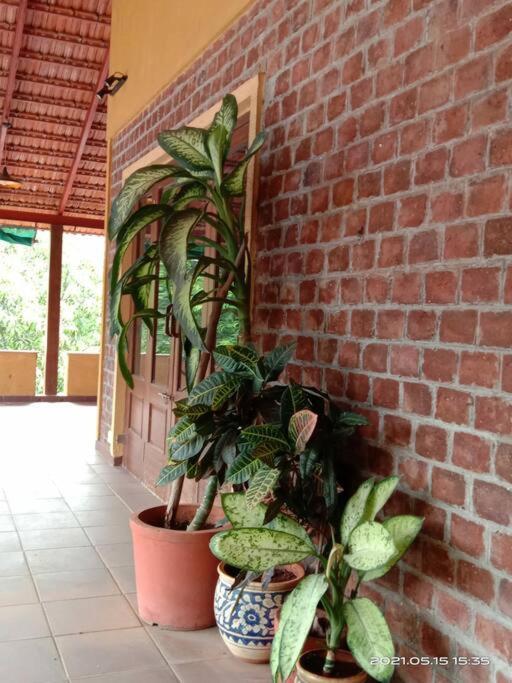 Sohana Eco Retreat Farmhouse - Karjat Chinchavli Bagian luar foto
