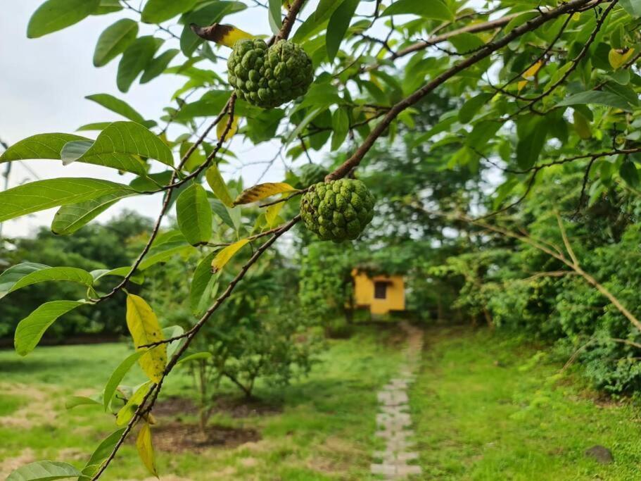 Sohana Eco Retreat Farmhouse - Karjat Chinchavli Bagian luar foto