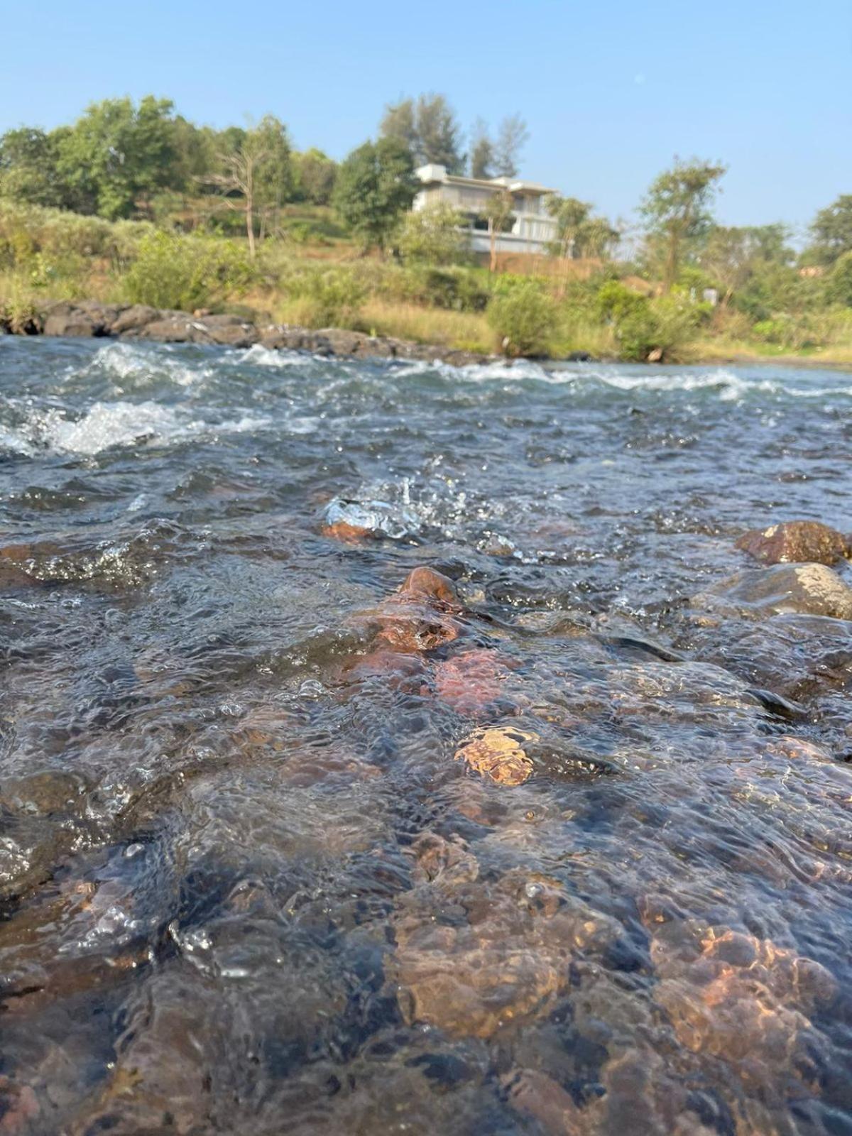 Sohana Eco Retreat Farmhouse - Karjat Chinchavli Ruang foto